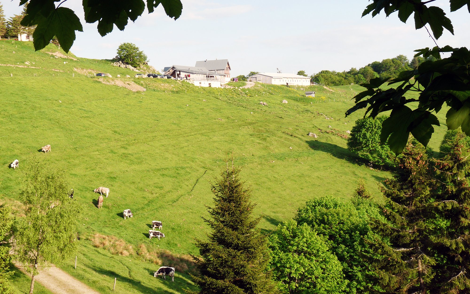 Ferme Auberge du Treh